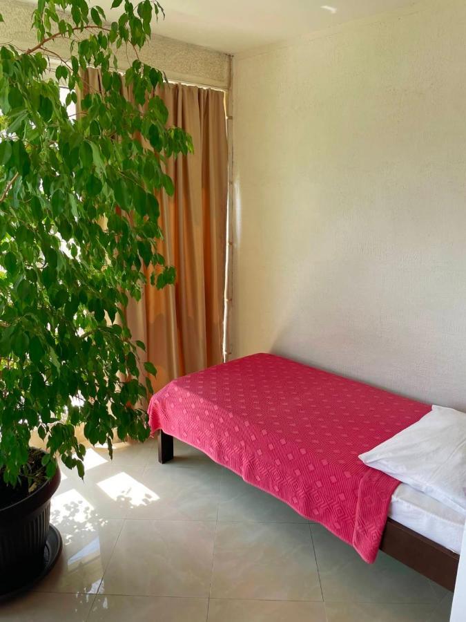 Apartmani Mina Херцег Нови Екстериор снимка